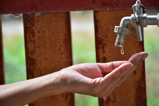Consejos para cuidar el agua desde tu hogar