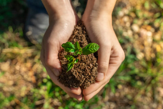 Acciones para cuidar el medio ambiente