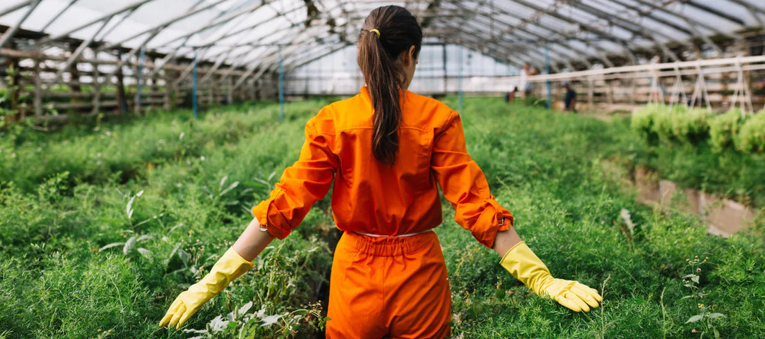 Checklist de limpieza agropecuaria para mantener instalaciones impecables