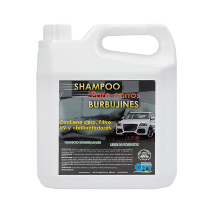 ShampooCarros4L